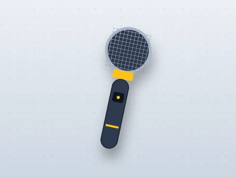 Dual Handheld Wireless Microphone Kit